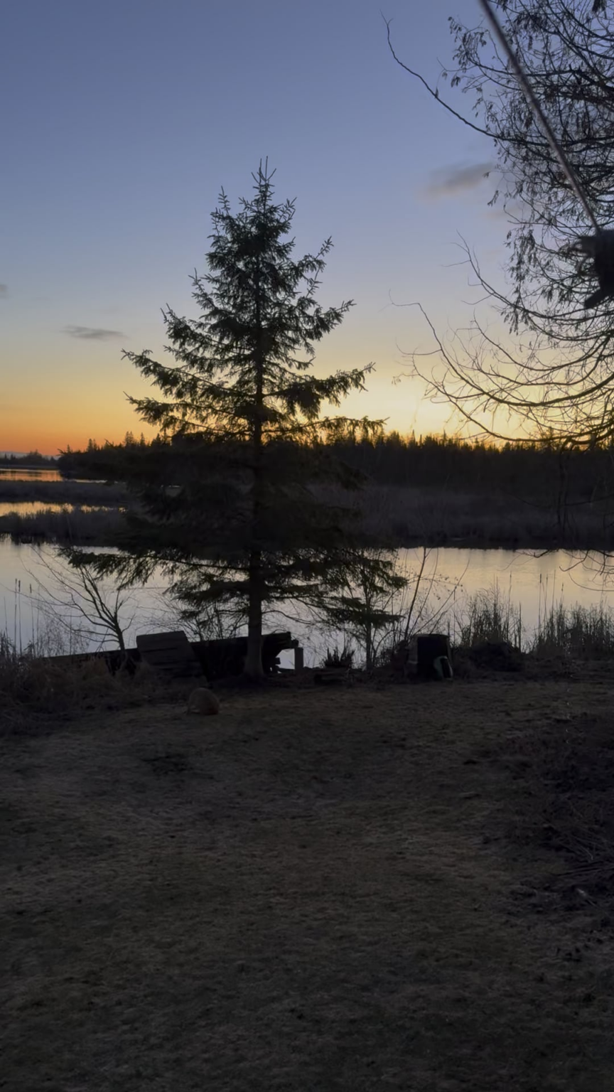 my backyard in the Kawartha Lakes 🇨🇦…