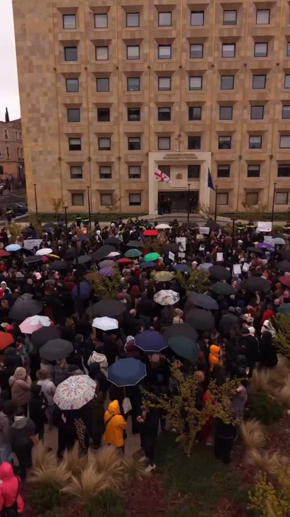 Animal rights activists rallied in Tbilisi demanding an end to the city's stray dog culling program