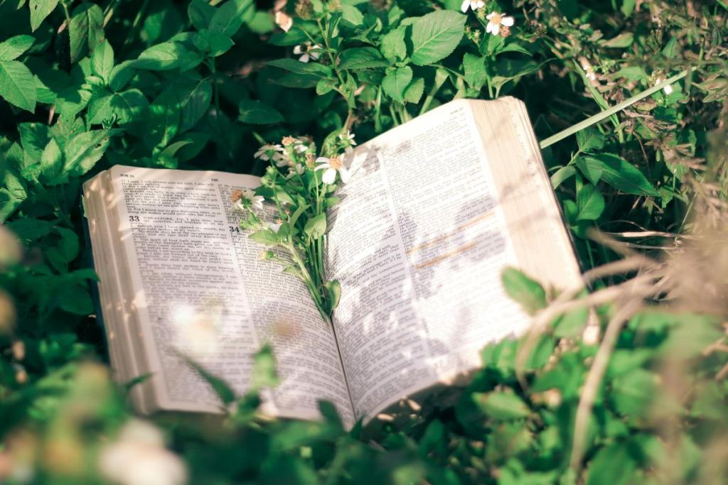 Bible, nature, flowers