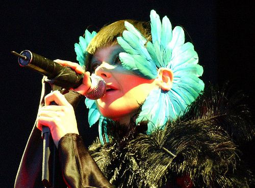 Echolalia festival announced by Björk ahead of solar eclipse in Iceland | IceNews item-thumbnail