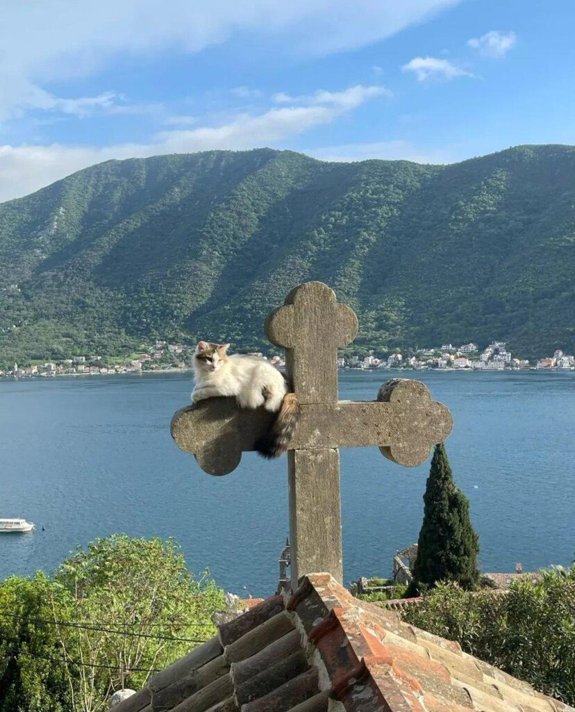 Cat resting on a cross of Orthodox church in Perast, Montenegro.