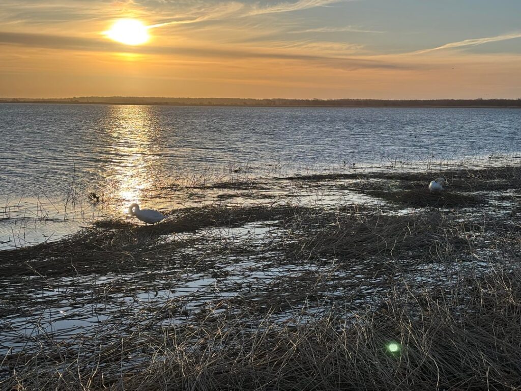 Beauty of Liepaja