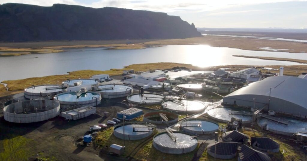 Cflow Establishes Operations in Iceland Cflow Establishes Operations in Iceland