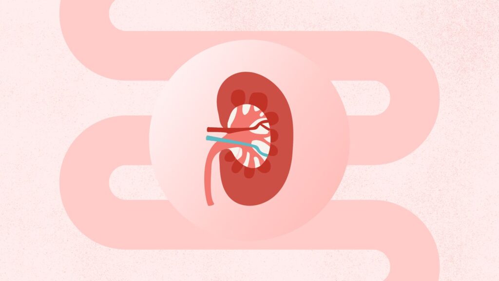 How Crohn’s Disease Can Affect Kidney Health