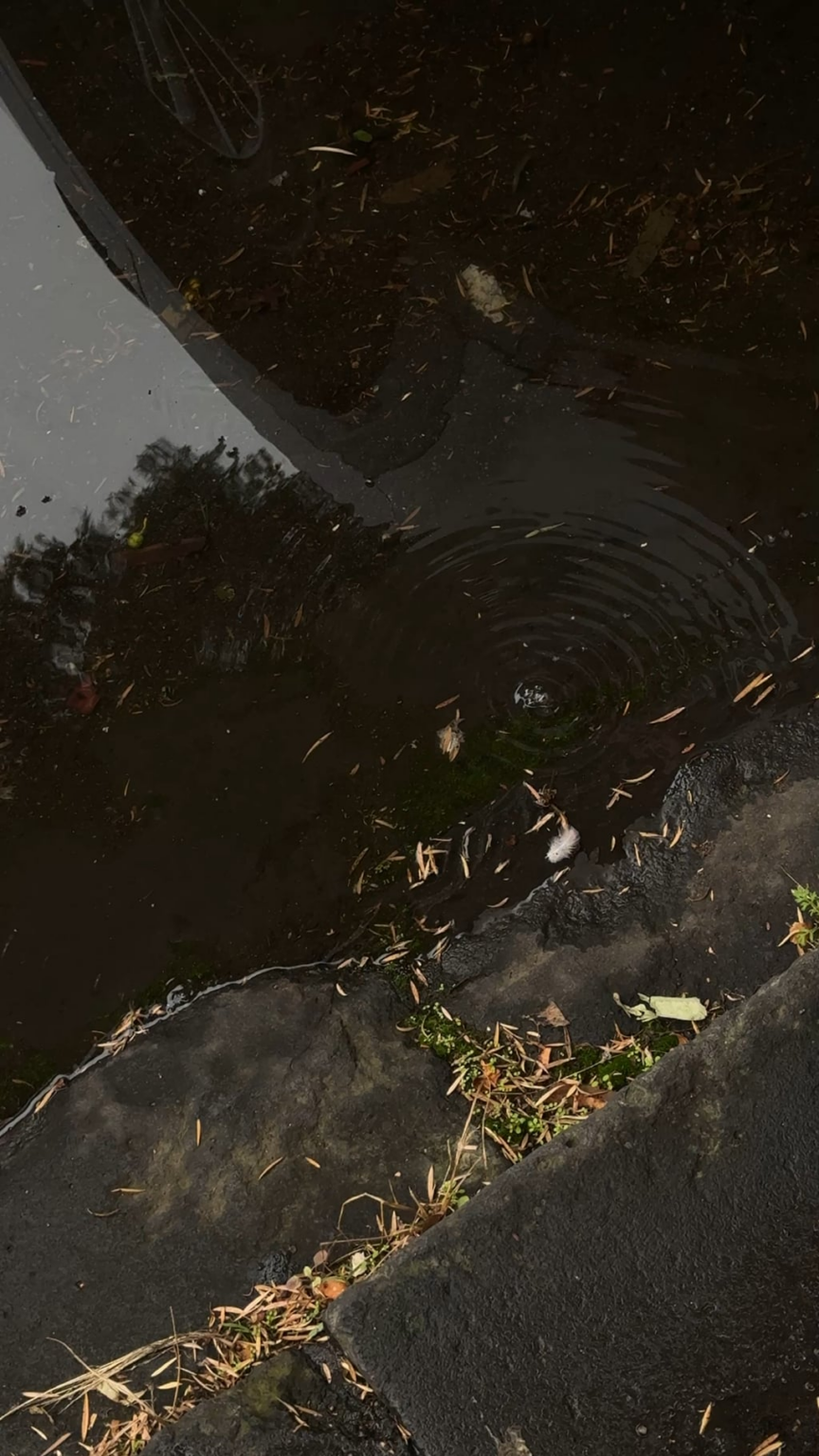Does anyone know what these weird bubbles could be coming from?