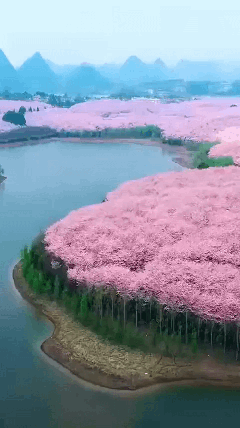 Man made, but beautiful!