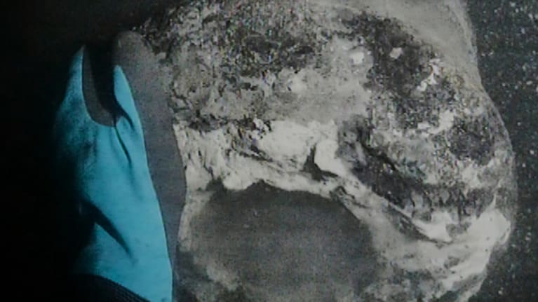 The underwater view of a diver as he discovers a cannon, thought to be from Danish flagship Dannebroge.