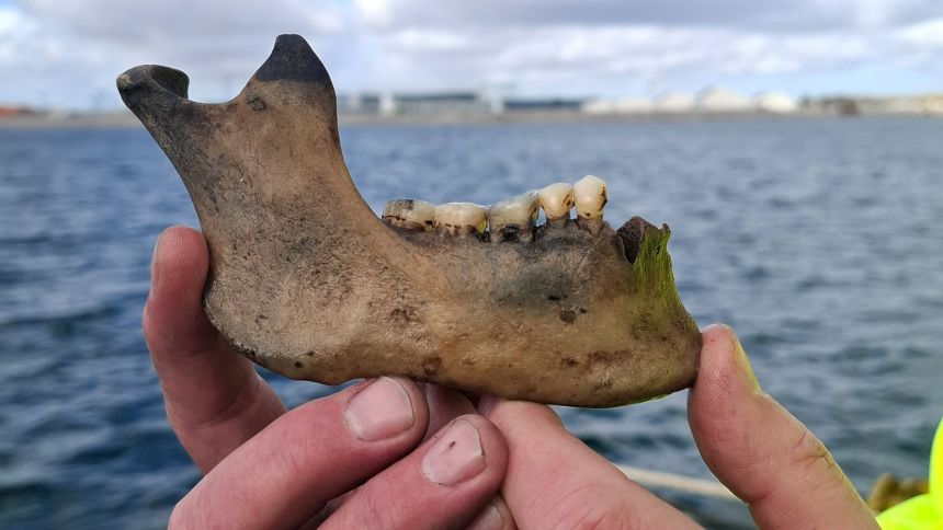This human jaw is thought to be long to one of the 19 missing crew members from the Dannebroge.