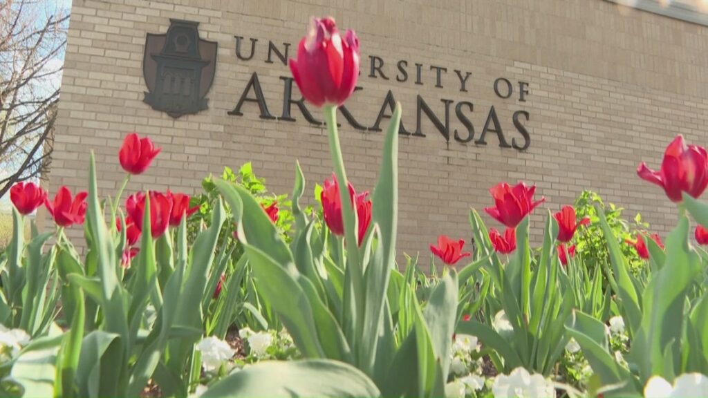 University of Arkansas terminates professor over social media posts regarding Iran-Israel conflict