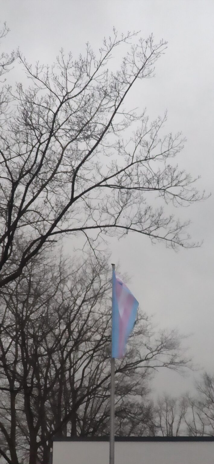 What does this flag represent?
