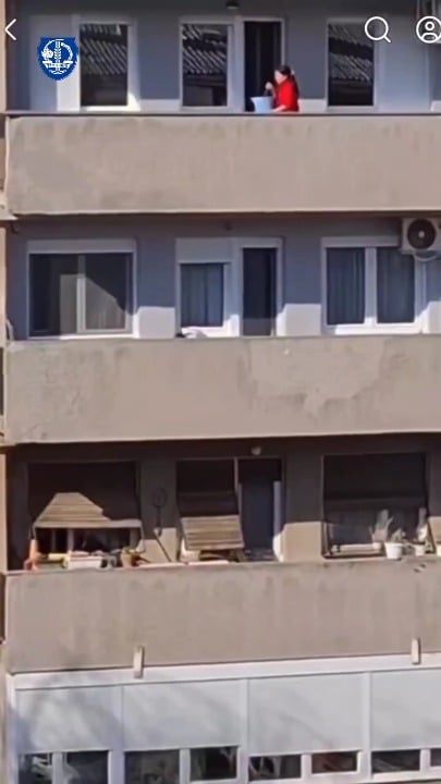 Trstenik center, they are removing a barrel with leftover sauerkraut from the terrace. Raso, of course, over the terrace...