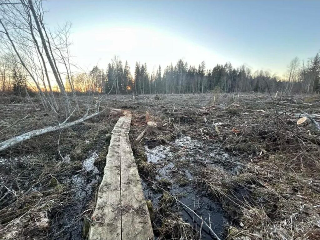 Soon, all hiking trails in Estonia will be like this