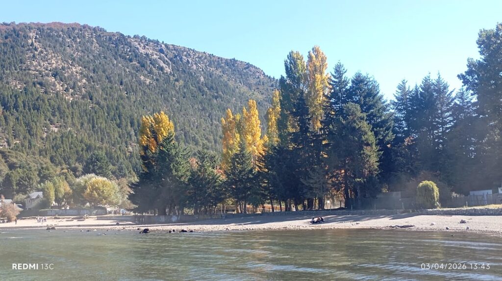 Autumn: Turn into yellow...