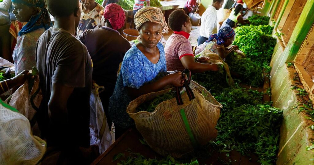 Global shipping disruption rocks Kenyan economy