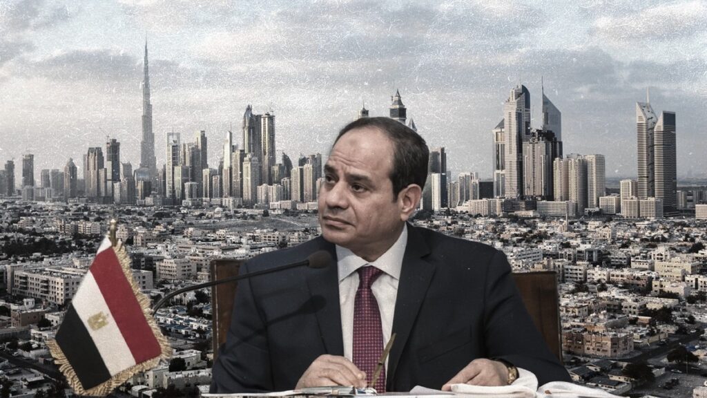 Ahmed Elimy's avatar