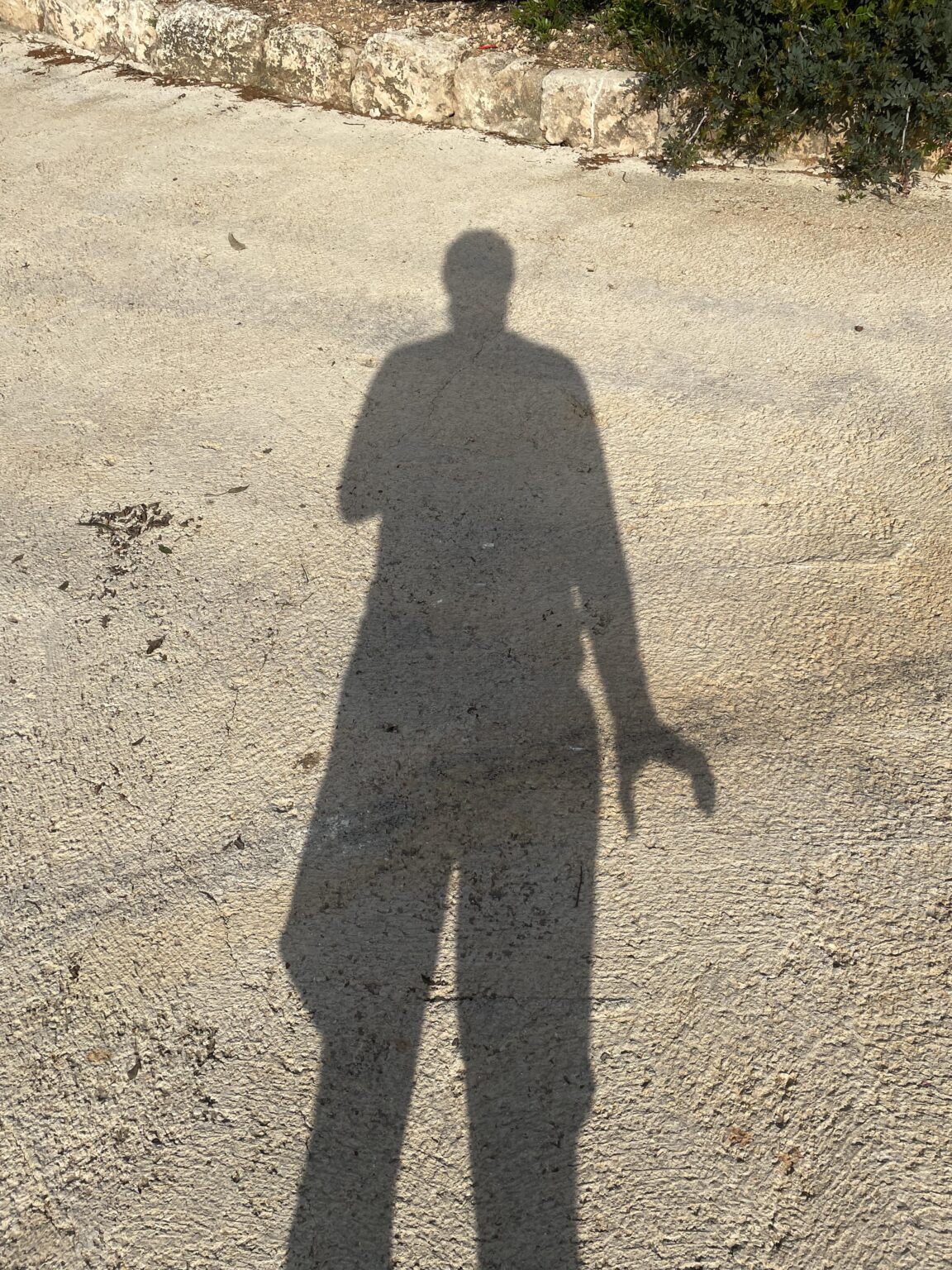 Do any of you also make Lego hands every time you have the sun at your back?