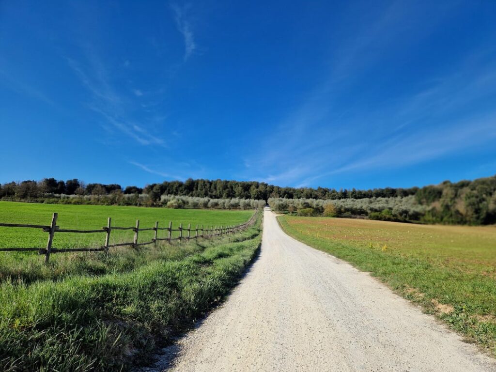 Hiking the Via Francigena in Tuscany (Italy): From San Miniato to Siena