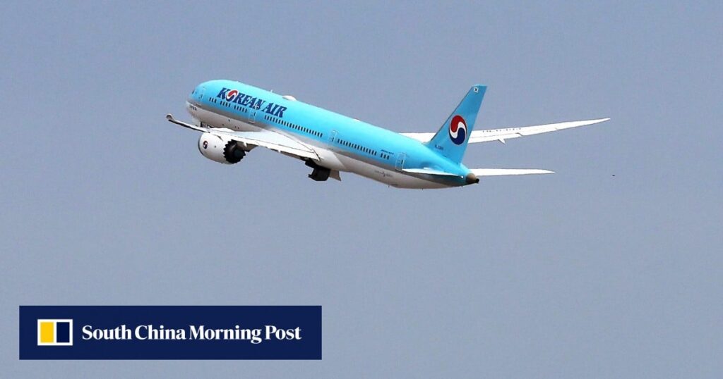 ‘I can’t breathe’: Korean Air sued over in-flight death of passenger