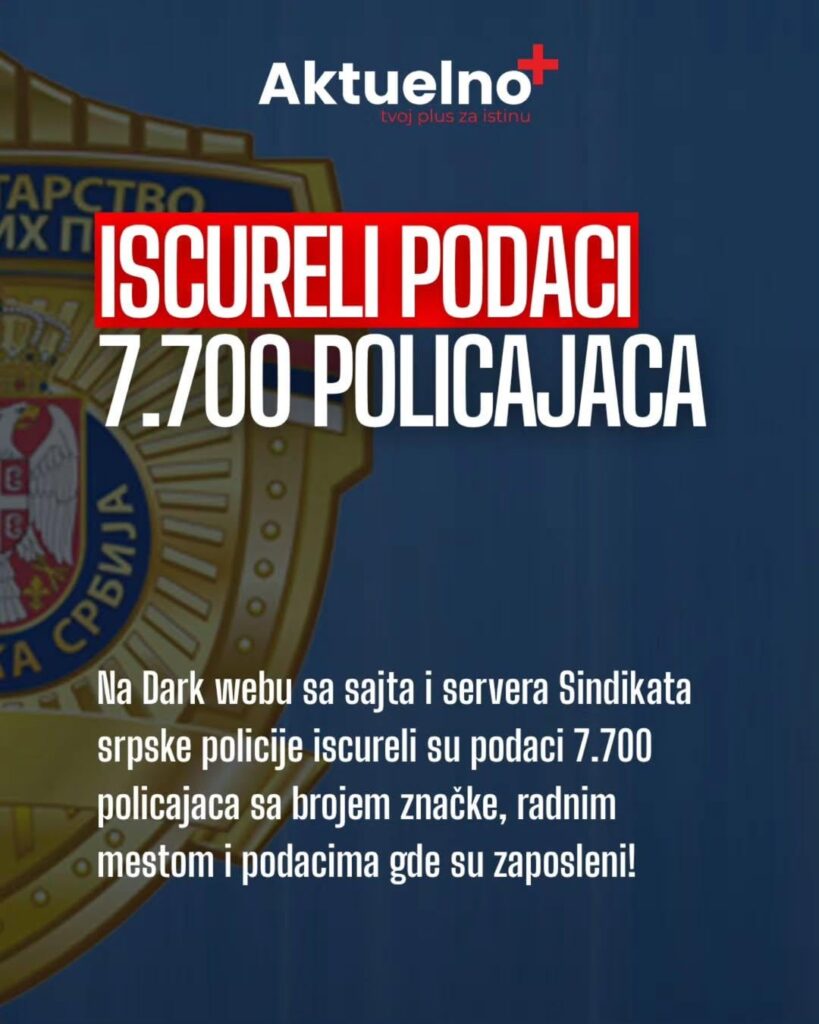 Digicats, how did you allow this?"