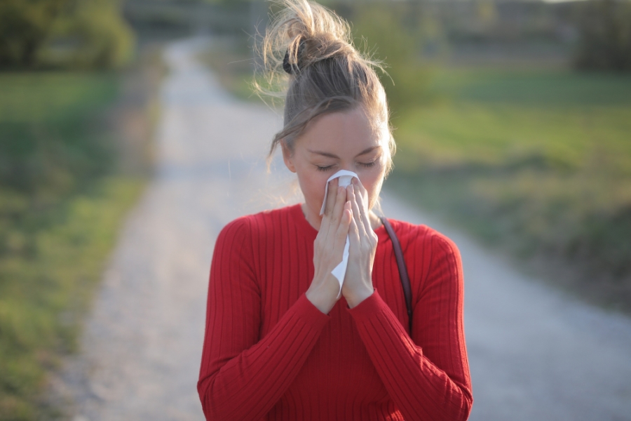 Western winds brought the first pollen allergens to Belarus Western winds brought the first pollen allergens to Belarus