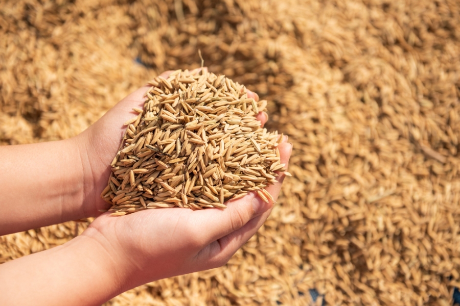Latvia extended the ban on import of products and feed from Belarus Latvia extended the ban on import of products and feed from Belarus