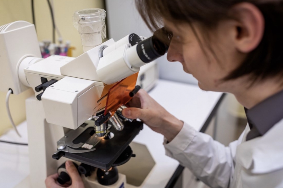 Belarusian Scientists from Gomel Developed a Bio-supplement for Treating Male Infertility Belarusian Scientists from Gomel Developed a Bio-supplement for Treating Male Infertility