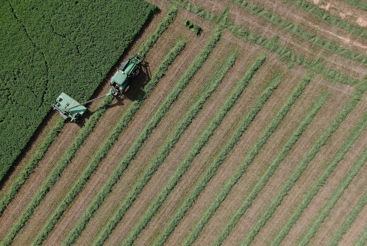 an aerial photo of a tractor harvesting crops in a green farm field