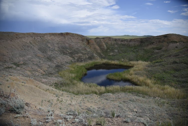 pool of water ringed by grasses in a depression in a dusty landscape