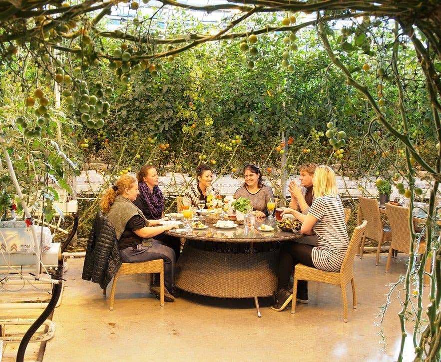 Women eating at Fridheimar Tomato Farm, one of the most popular restaurants in the Golden Circle Women eating at Fridheimar Tomato Farm, one of the most popular restaurants in the Golden Circle