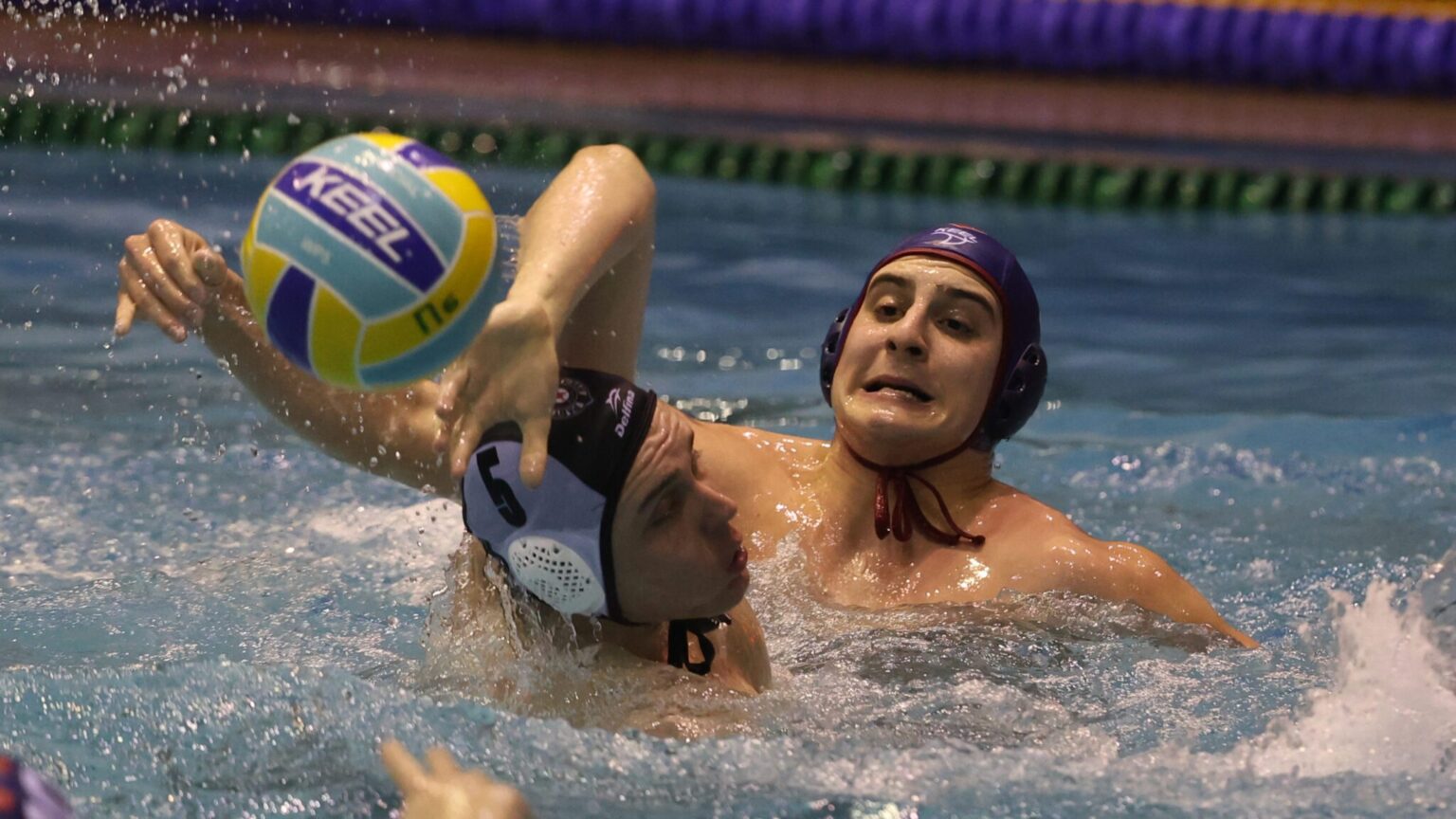 Crvena Zvezda, along with favorites, reach semifinals in Serbia