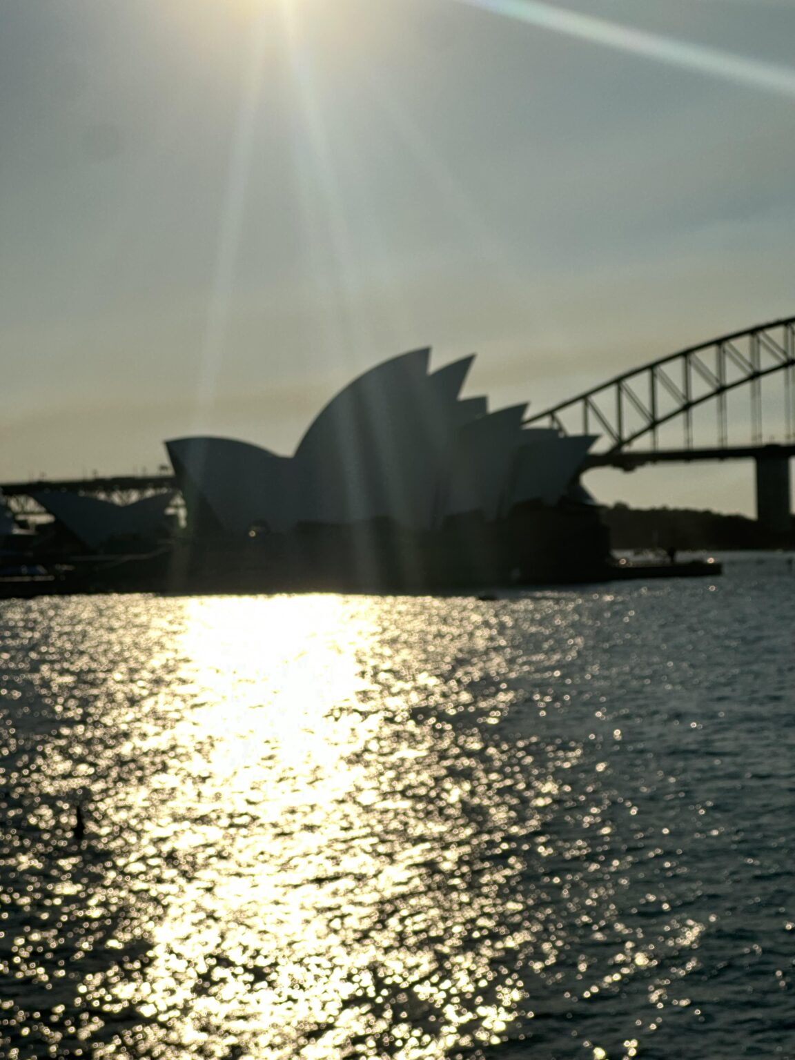 beautiful opera house photo in the evening