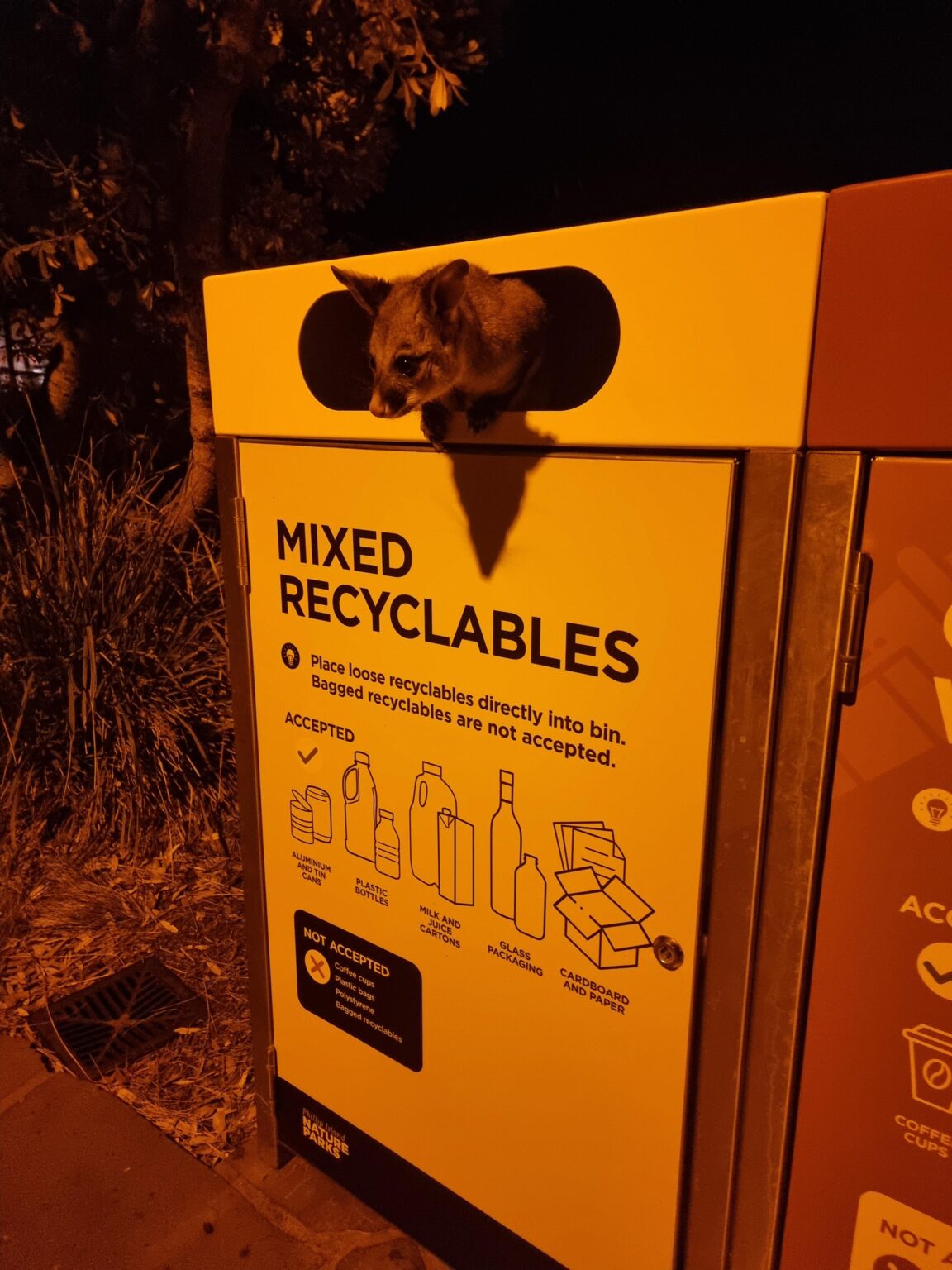 "Oi, that's worth 10c mate, you're throwing away good money"