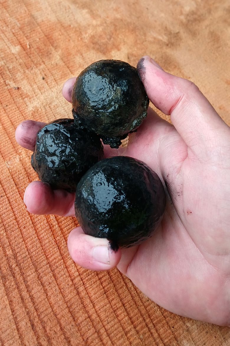 These grapeshots were among the evidence of the battle found by the archaeologists.