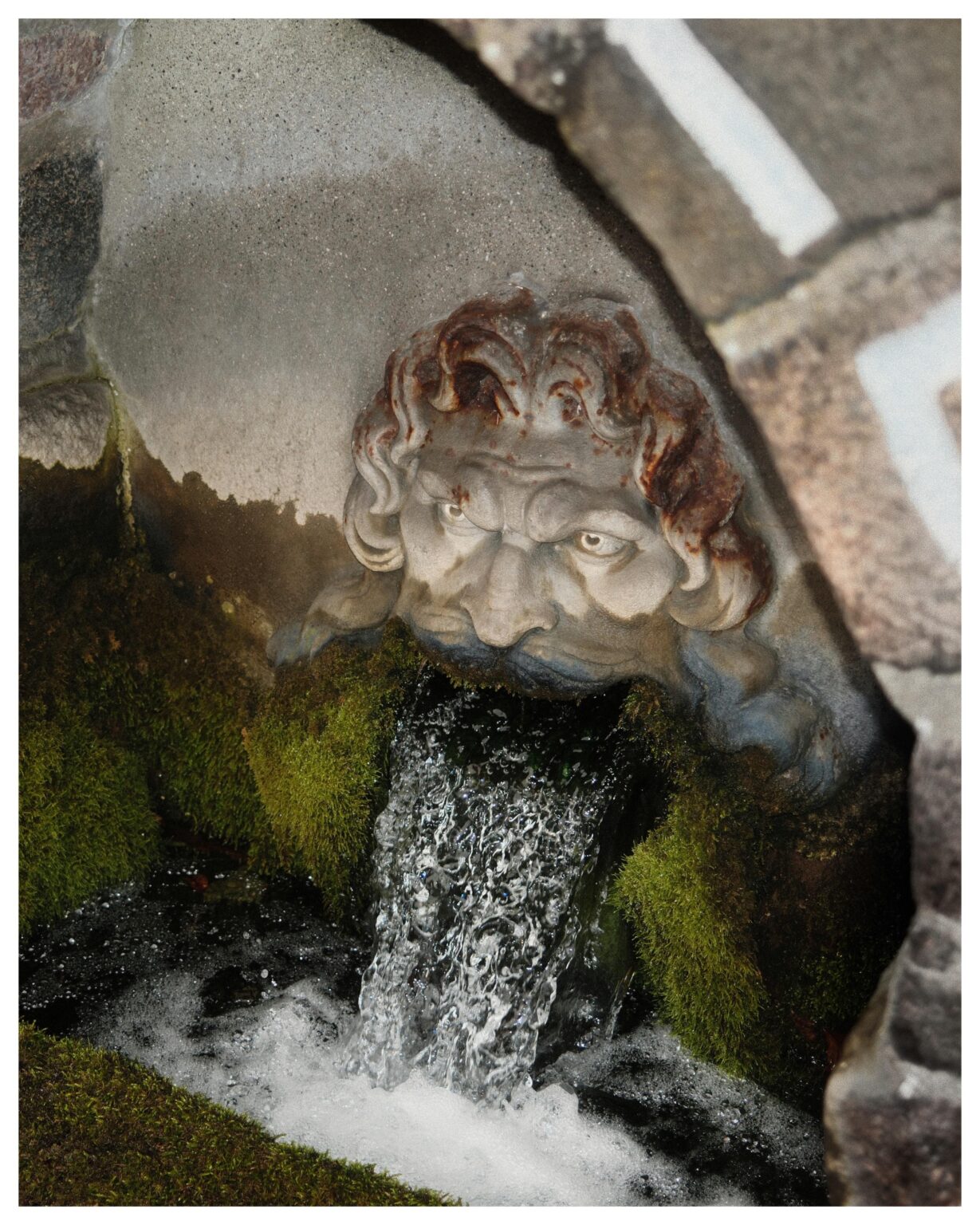 Photo from yesterday, Maglekilde in Roskilde