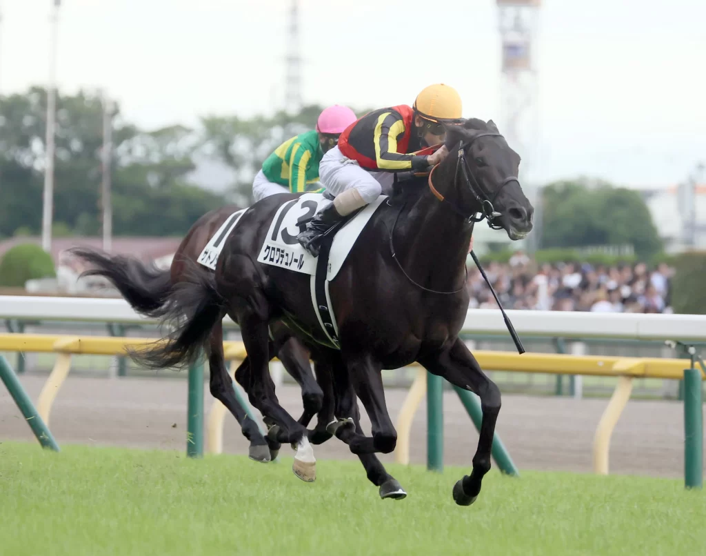 Osaka Hai