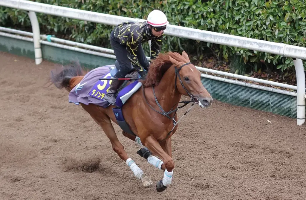 Osaka Hai Preview: A Middle-Distance Showcase Race for Thoroughbreds Osaka Hai