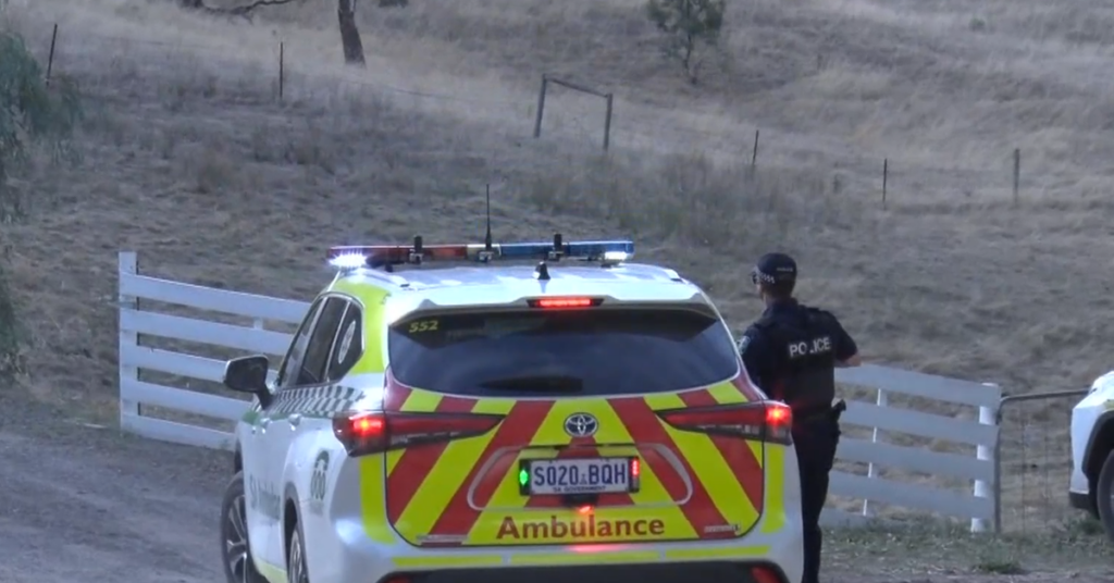 Girl, 7, fighting for life after Adelaide crash