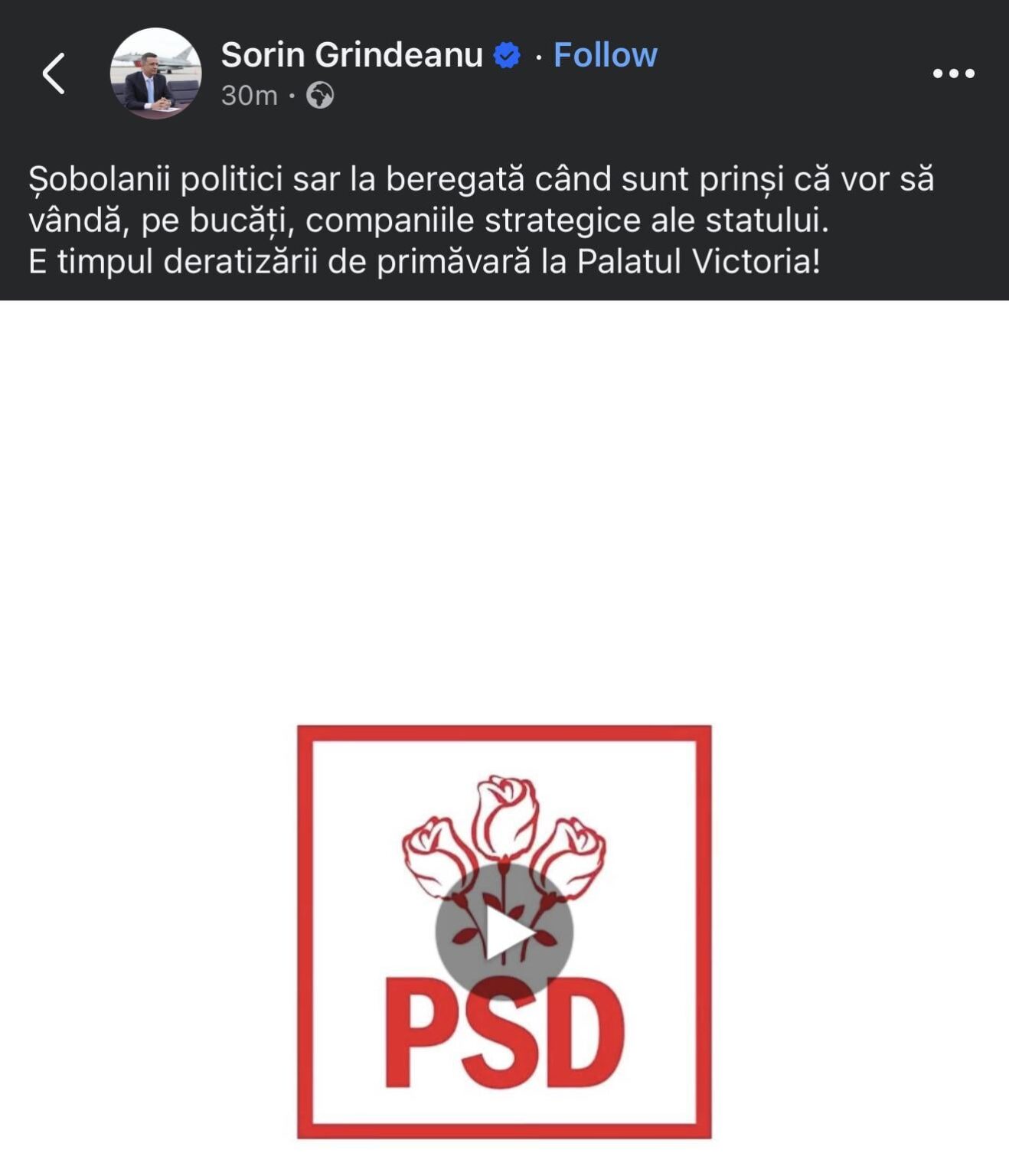 Grindeanu: "political rats... extermination".