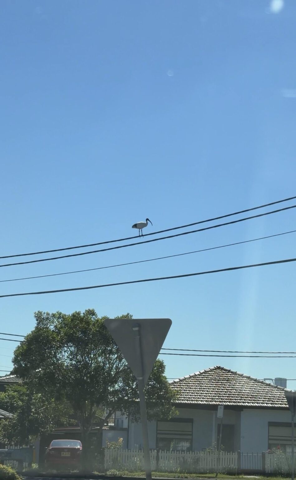 It’s your world mate we’re just living in it.