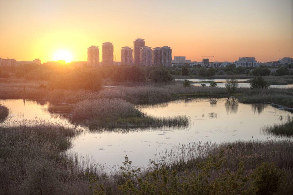 Inside Bucharest’s Accidental Urban Wilderness