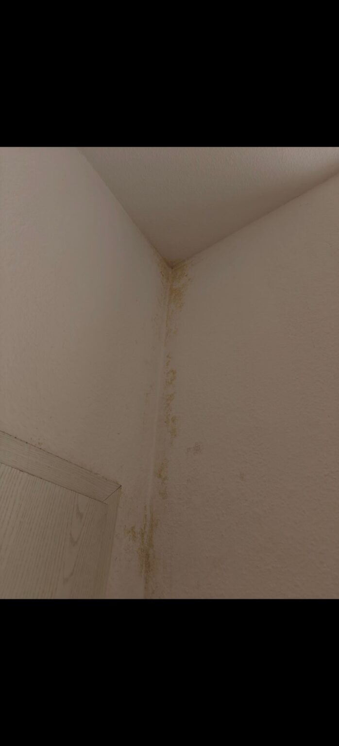 How to clean the wall? How to clean the wall?