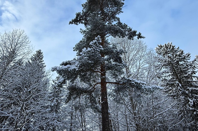 Finland sees record warmest average temperature in March Finland sees record warmest average temperature in March