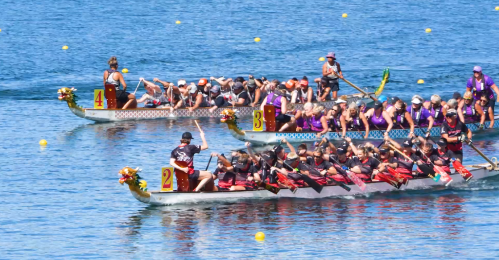 Multiple dragon boat teams paddling in close competition on Lake Karapiro during the 2026 New Zealand National Dragon Boat Championships