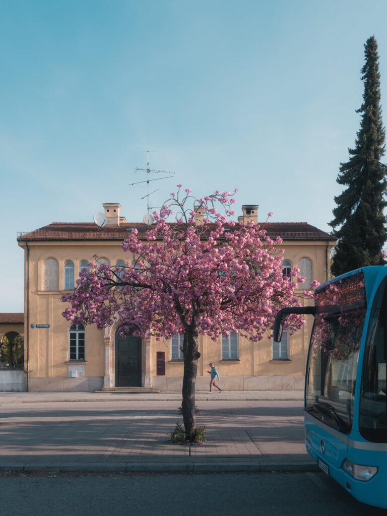 Is this Germany’s most beautiful bus stop? Is this Germany's most beautiful bus stop?