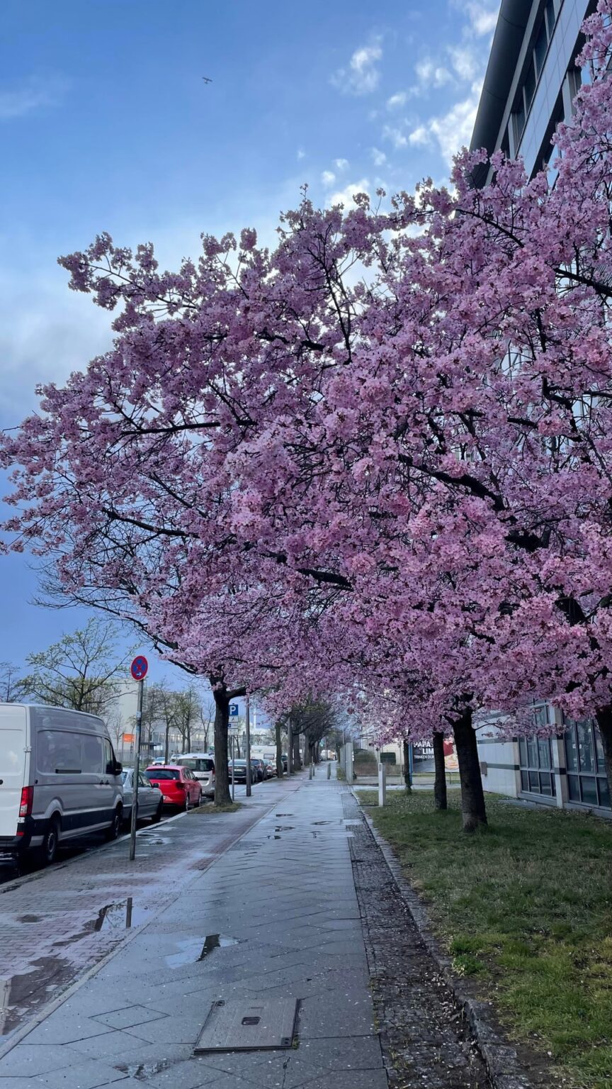 Berlin ❤️