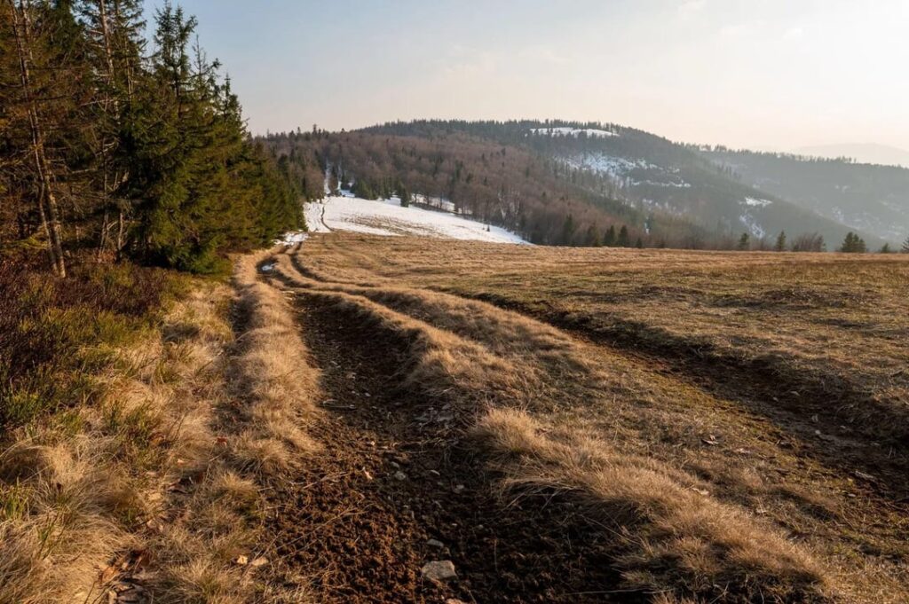 Hala Kamińskiego, Żywiec Beskid