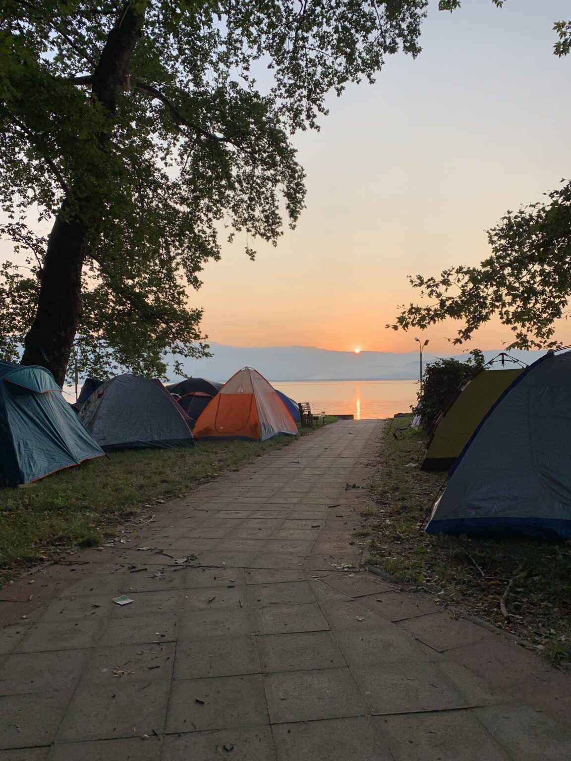 Why did D-Fest become Sh-Fest?