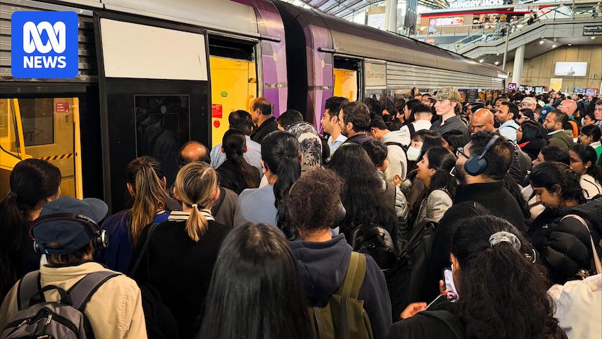 V/Line commuters let down as buses replace trains during Victoria's free public transport solution to fuel crisis