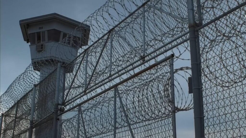 UN and Rights Groups Say Rape Using Trained Dogs at Israel Detention Sites Is Systematic, Endorsed at the Highest Level