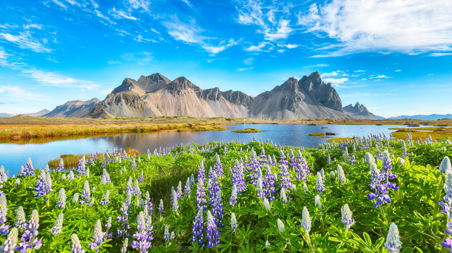 This Beautiful Island With Stunning Waterfalls And Mountain Trails Was Free Of Wild Mosquitoes (Until Last Year) This Beautiful Island With Stunning Waterfalls And Mountain Trails Was Free Of Wild Mosquitoes (Until Last Year)